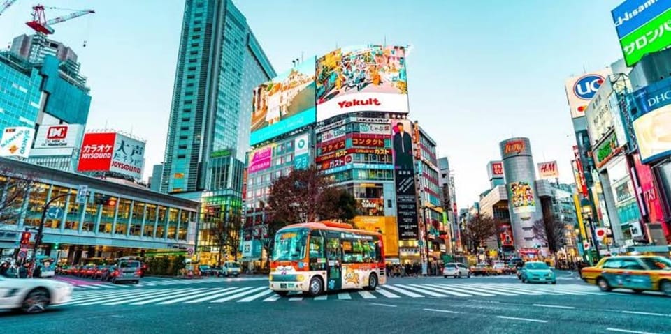 Tokyo:Luxury Private Tour with English-Speaking driver - Key things worth knowing before you go