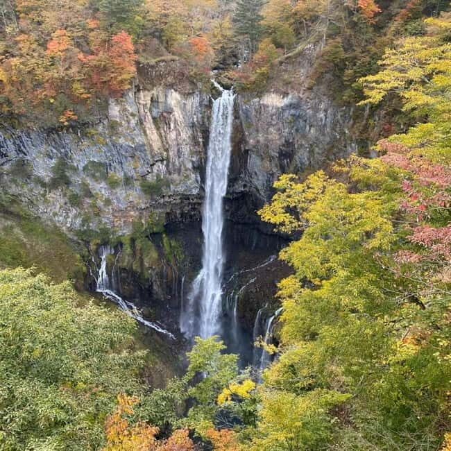 Tokyo:Nikko UNESCO World Heritage Sites Private 1-Day Tour - The private van ride: logistics that actually matter