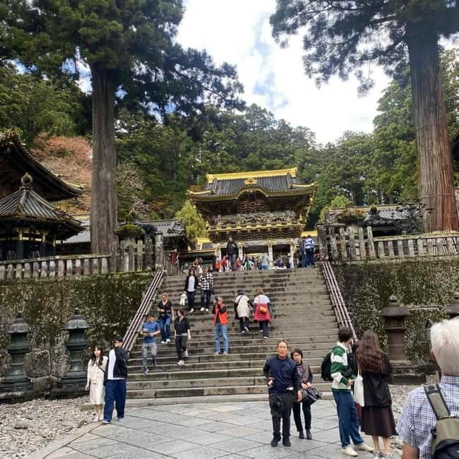 Tokyo:Nikko UNESCO World Heritage Sites Private 1-Day Tour - Toshogu Shrine: gold, carvings, and the Tokugawa story
