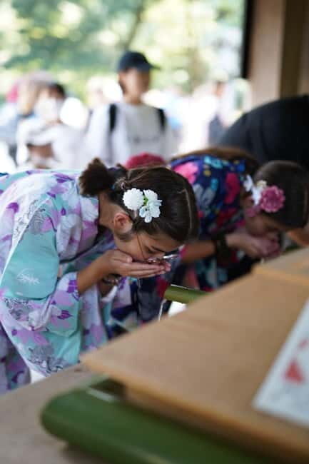 :Tokyo,Shibuya /Meiji Shrine tour in KIMONO/English-friendly - Who this kimono-and-shrine tour is best for