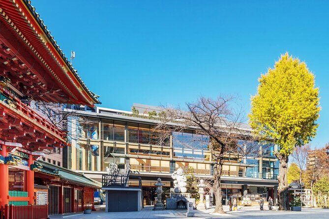 Traditional Japanese Comedy, Juggling & Magic Live Show in Tokyo - Should you book Traditional Japanese Comedy, Juggling & Magic in Tokyo?