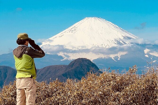 Traverse Outer Rim of Hakone Caldera and Enjoy Onsen Hiking Tour - Outer rim Hakone hiking: why this route feels so satisfying