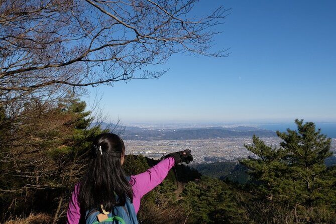 Traverse Outer Rim of Hakone Caldera and Enjoy Onsen Hiking Tour - The descent to Lake Ashinoko and why 30 minutes still matters
