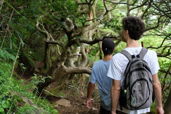 Traverse Outer Rim of Hakone Caldera and Enjoy Onsen Hiking Tour - Togendai lunch break: good carbs, real choices, and a gentle reset