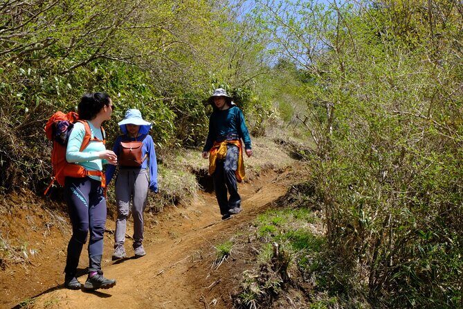 Traverse Outer Rim of Hakone Caldera and Enjoy Onsen Hiking Tour - Price and value: what ¥, time, and effort add up to