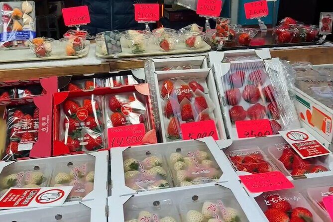 Tsukiji Food Strolling and Hama Rikyu Garden Walking Tour - Why Tsukiji and Hama-rikyu work as one 2.5-hour plan