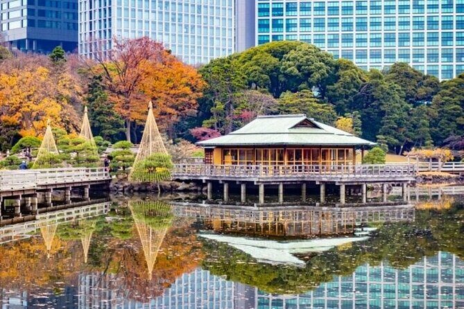 Tsukiji Food Strolling and Hama Rikyu Garden Walking Tour - Who this tour is best for (and when to skip)
