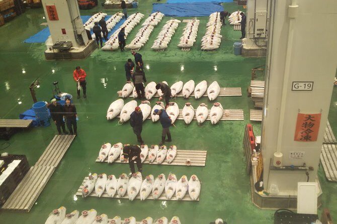 Tuna auction at Toyosu Market with qualified guide and early morning tour of Tsukiji Outer Market - Tsukiji Jogai Market: where you slow down and eat the plan