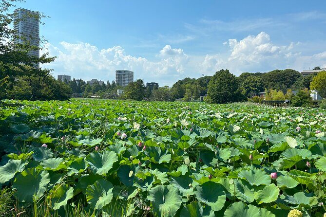 Ueno Park and Ameyoko Street Food Market Half Day Walking Tour - Tokyo National Museum: the big cultural anchor