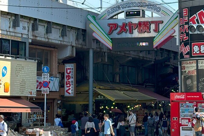 Ueno Park and Ameyoko Street Food Market Half Day Walking Tour - Ueno Ameyoko Shopping Street: street food time, properly paced