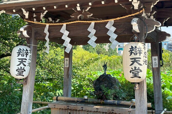 Ueno Park and Ameyoko Street Food Market Half Day Walking Tour - Pacing, timing, and how to prepare