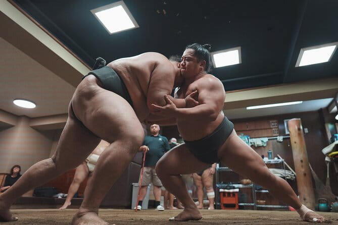Unique Afternoon Live Sumo training tour in Tokyo - Why Ryogoku Sumo Keiko Feels Different Than a Show