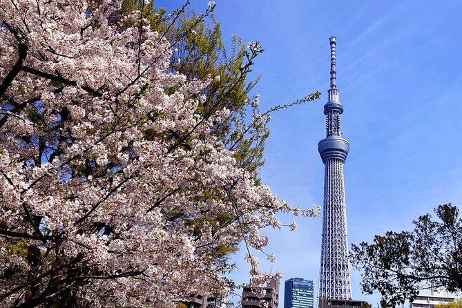Unlock Hidden Tokyo: Private Custom Tour with a Local guide - Private customization: how you actually steer the day