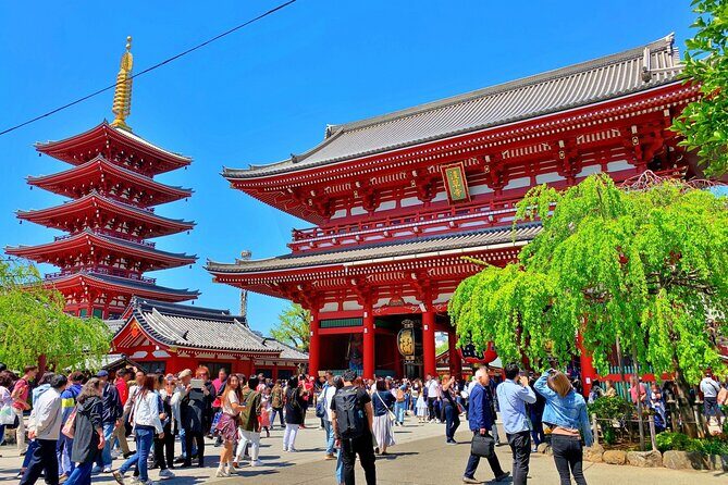 Unlock Hidden Tokyo: Private Custom Tour with a Local guide - Tsukiji Outer Market then Ginza: food streets and shopping without the stress