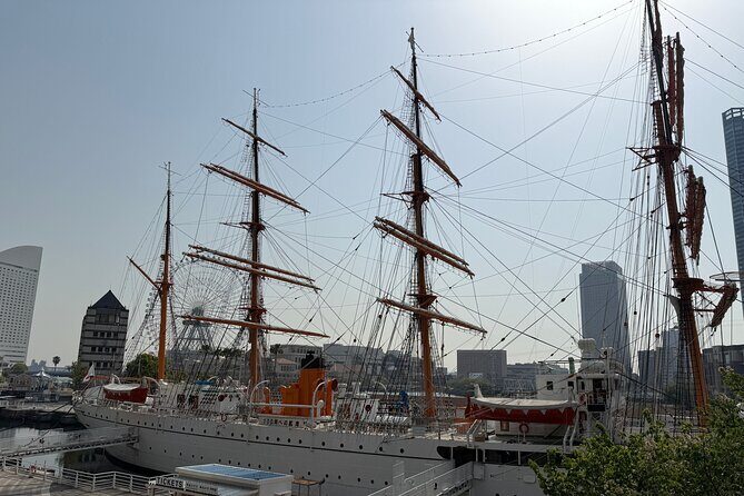 Variety of Tokyo or Yokohama Tours Customizable and Memorable - How the Custom Planning Really Changes Your Day
