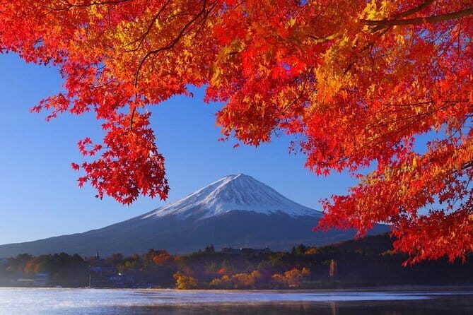 View of Mt. Fuji is good! Sushi making experience class - Where You Meet: Kawaguchiko Station to a Traditional Classroom