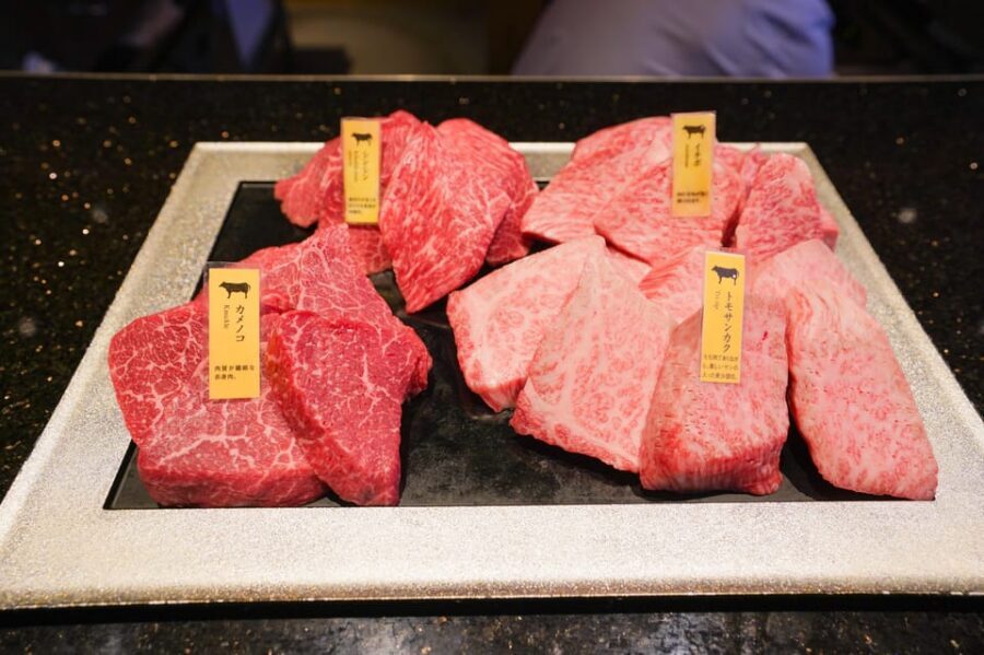 Wagyu Beef & Sake Pairing Foodie Tour in Tokyo - Who this tour suits best (and who should skip it)