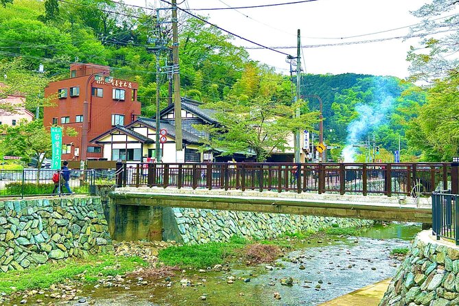 Walking Tour Mount Takao : Nature and Tradition in Tokyo - Cable Car Round Trip: A Smart Balance for Views and Legs