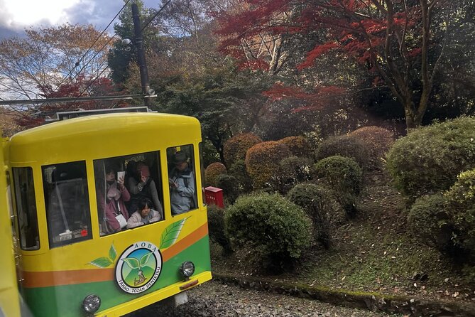 Walking Tour Mount Takao : Nature and Tradition in Tokyo - Stop 1: Takao 599 Museum and Nature Centre