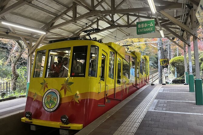 Walking Tour Mount Takao : Nature and Tradition in Tokyo - Stop 2: Monkey Park and Wild Grass Garden