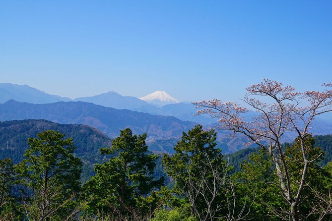 Walking Tour Mount Takao : Nature and Tradition in Tokyo - Temple Pause: Takaosan Yakuo-in Yuki-ji (Yuki-ji)