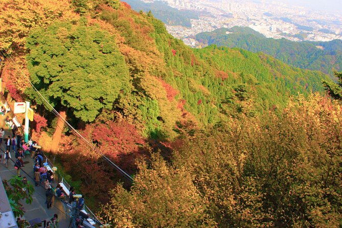 Walking Tour Mount Takao : Nature and Tradition in Tokyo - The Value Behind the $165.13 Price Tag