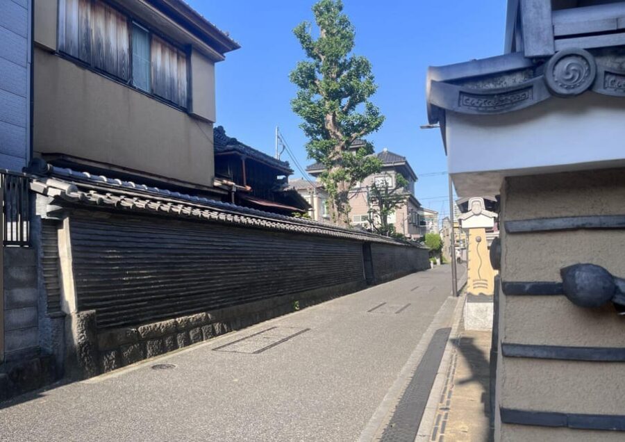 Walking Tour: Yanaka,Nezu& Sendagi: Tea Ceremony & Old Tokyo - A Secret Stop for Food Tasting: The Break Your Feet Will Thank You For