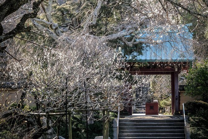 When Emperors Reigned and Shoguns Ruled - Photographer-guide advantage: better photos without awkwardness