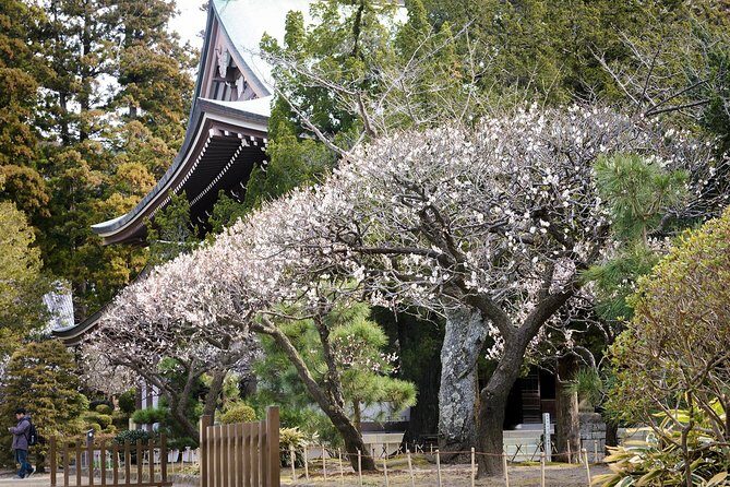 When Emperors Reigned and Shoguns Ruled - English (and Spanish) help, plus real-world guide energy