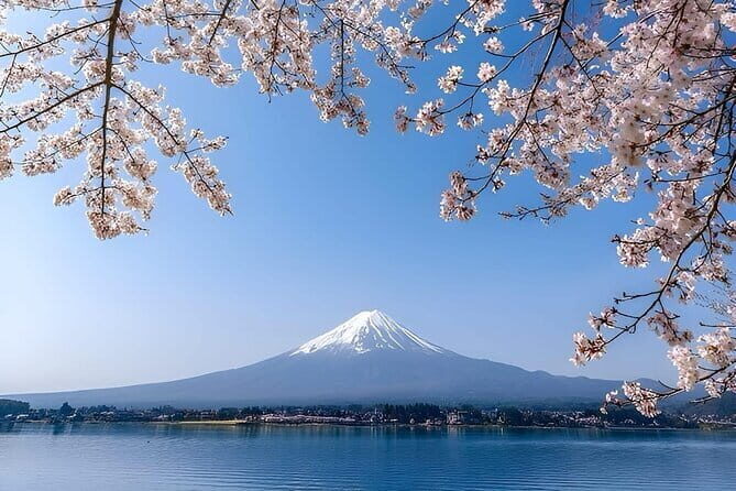 Wonderful Peaks & Peace: Mt. Fuji, Fuji Stupa & Hakone Tour - Key things I’d mark on your planning map