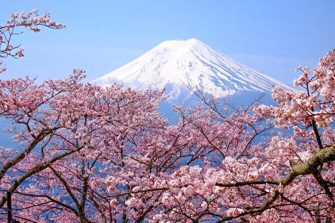 Wonderful Peaks & Peace: Mt. Fuji, Fuji Stupa & Hakone Tour - Mt. Fuji 5th station at 3,776 meters: your high-altitude centerpiece