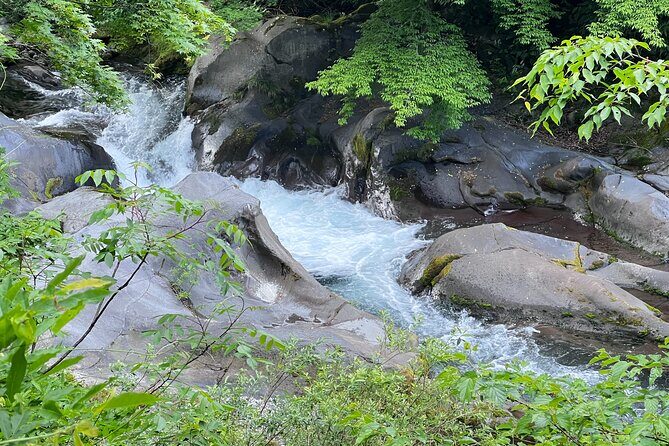 World Heritage Nikko Walking Tour Toshogu and Kanmangafuchi - 4.5-hour Nikko walk: route flow from Kanmangafuchi to Toshogu