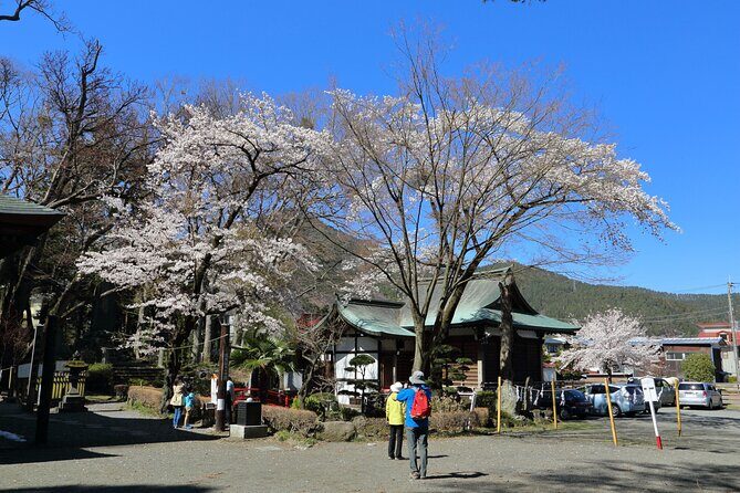 Yabusame Adventure with Mt. Fuji Views - Mt. Fuji views, weather realities, and smart timing