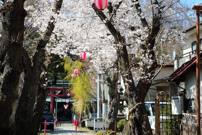 Yabusame Adventure with Mt. Fuji Views - Who this tour suits best (and who might choose the alternatives)