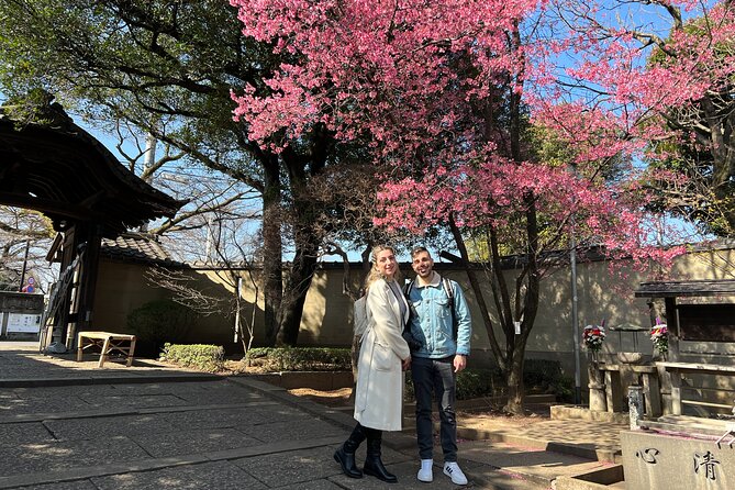Yanaka Walking Tour: Historic and Traditional District of Tokyo - Optional stop: Tea on tatami at Gallery Okubo