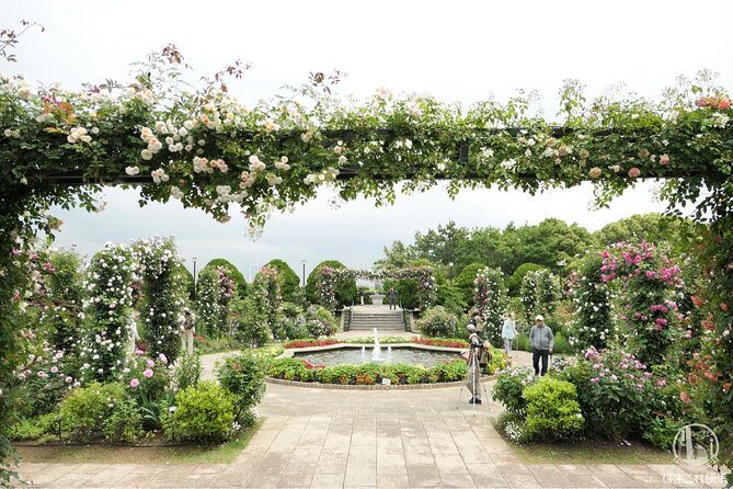 Yokohama and Kamakura 6hr Private Trip Government-Licensed Guide - Meigetsuin hydrangeas and Nichiren temple options