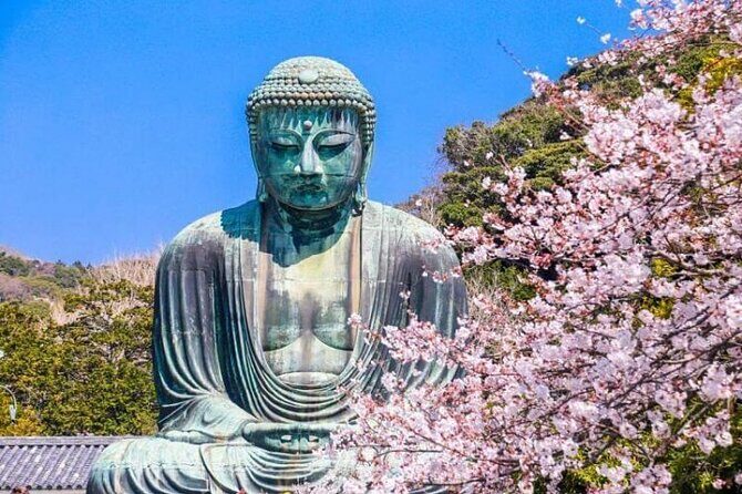 Yokohama and Kamakura Private Full Day Tour with English Guide - Key things to know before you go