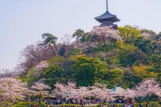 Yokohama Like a Local: Private & Personalized Experience 2,3 hrs - What you’re really buying: private hosting, not just a route