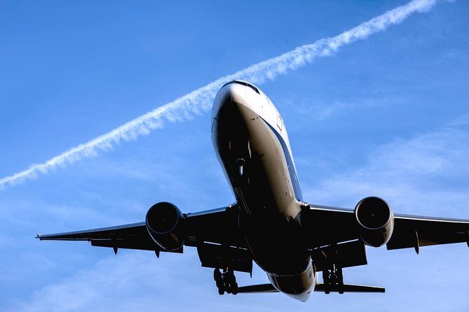 Yokohama Private Arrival Transfer : Tokyo Hotels to Yokohama Port or Hotels - Tokyo Hotel Pickup To Yokohama Osanbashi: What This Transfer Really Feels Like
