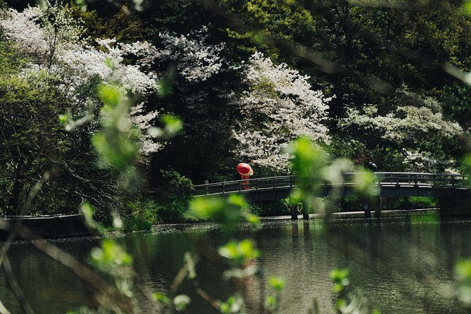 Yokohama Private Tours with Locals: 100% Personalized, See the City Unscripted - Hokokuji Temple and the Bamboo Garden Reset