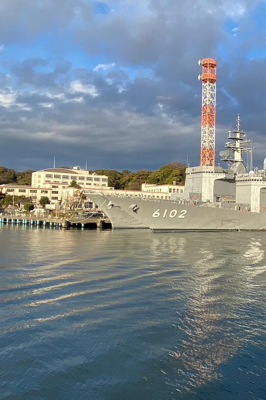 Yokosuka: Boat Trip to an Uninhabited Island - Sarushima Island: a guided nature walk with sea-breeze rewards