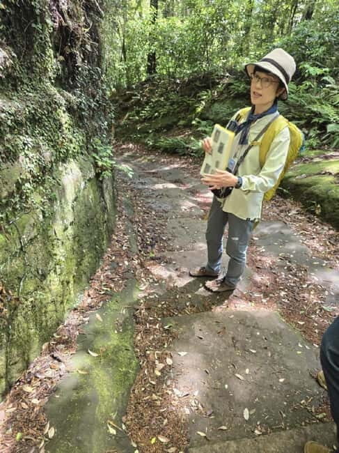 Yokosuka : Scenic Hidden Gem Hike and Naval Port Cruise - Tea break and forest bathing without the gimmicks